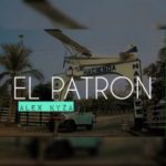 Alex Kyza - El Patron MP3